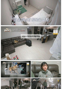 개는 훌륭하다.E233.251127.1080p-F1RST