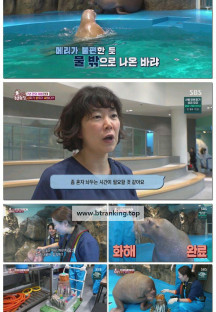 TV 동물농장.E1215.250330.1080p-F1RST