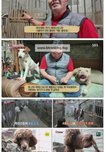 TV 동물농장.E1221.250504.1080p.H264-F1RST