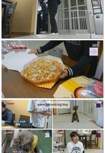 TV 동물농장.E1225.250608.1080p-F1RST