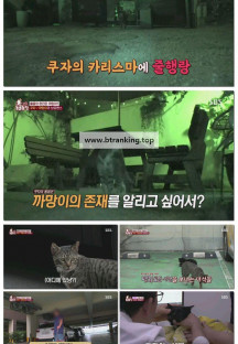 TV 동물농장.E1227.250622.1080p-F1RST