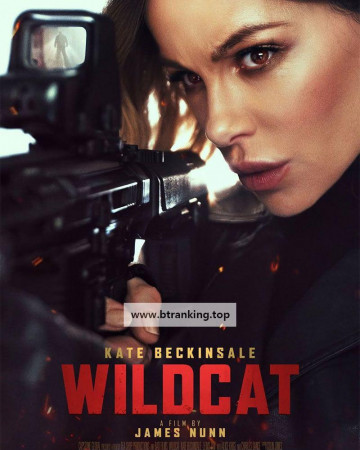 와일드캣 2025 Wildcat 2025 1080p WEB-DL HEVC x265 5.1 BONE