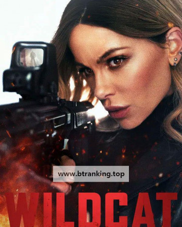 와일드 캣 Wildcat, 2025.KORSUB.1080p.WEB-DL.H264.AAC
