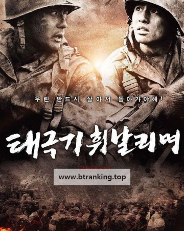 태극기 휘날리며 (감독판) Tae Guk Gi - The Brotherhood of War (2004)