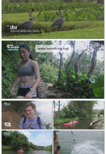 걸어서세계속으로트래블홀릭.E249.250920.1080p-F1RST