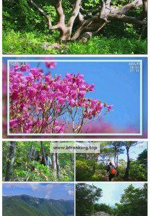 영상앨범 산.E1007.250928.1080p-F1RST