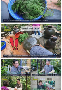 2TV 생생정보.E2258.250327.720p-F1RST