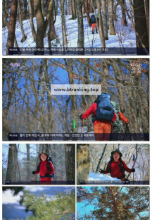 영상앨범 산.E981.250330.1080p-F1RST