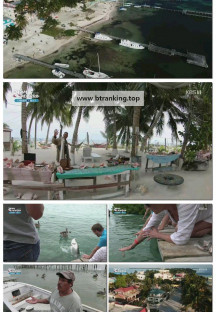 걸어서세계속으로트래블홀릭.E146.250417.1080p-F1RST