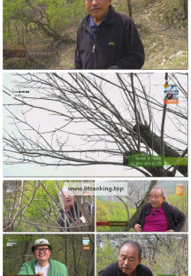 나는 자연인이다.E654.250430.1080p-F1RST