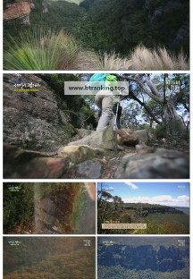 트레킹노트 세상을 걷다.E366.250503.1080p-F1RST