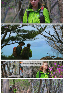 영상앨범 산.E986.250504.1080p-F1RST