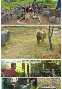 나는 자연인이다.E657.250521.1080p-F1RST