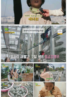 2TV 생생정보.E2406.251104.1080p-F1RST