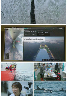 다큐 인사이트.E253.251002.1080p-F1RST