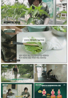 다큐 플러스.E353.250615.1080p-F1RST