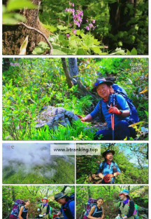 영상앨범 산.E994.250629.1080p-F1RST