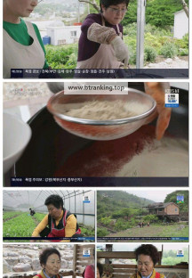 팔도밥상.E407.250705.1080p-F1RST