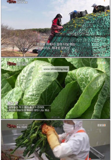 극한 직업.E1167.250405.봄을 맞이하는 사람들.720p.WEB-DL.x264-SETI